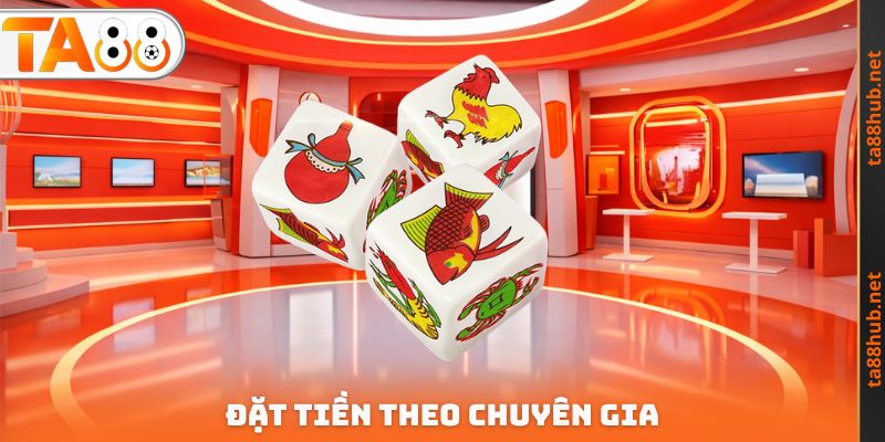 Đặt tiền theo chuyên gia
