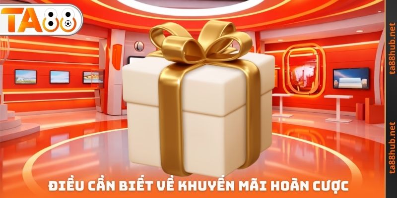 Khuyến Mãi Hoàn Cược TA88 - Cơ Hội Để Tối Ưu Lợi Nhuận 2 Điều cần biết về khuyến mãi hoàn cược